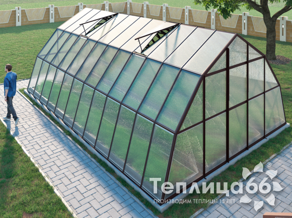 Теплица Рада Балхаш из поликарбоната, 5х8 метров, коричневая